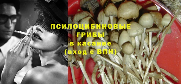 МДПВ Алексин