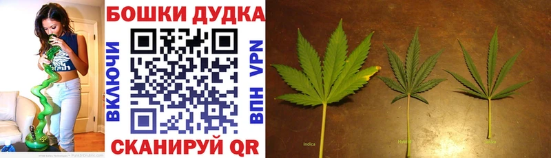 магазин продажи наркотиков Карабаш Конопля Amnesia
